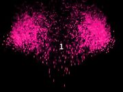 佛爷-美容院老板娘第六部疯狂画面性感白衣裙完整版