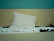 佛爷-美容院老板娘第六部疯狂画面性感白衣裙完整版