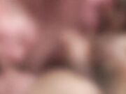 性感渔网丰乳瓜子脸人妖脱下内内漏出JJ后入啪啪