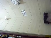 最新流出国内商场员工专用女厕偷拍都是年轻妹子