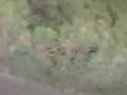 野外车震内射御姐 高潮呻吟不断尖叫不断刺激