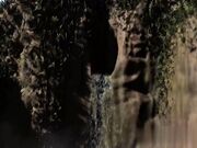 海滩上大黑人男子在野蛮岛上撞上粉穴性爱