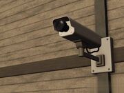 一个性感的大淫穴被一只大鸡巴爆草高潮