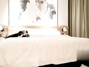 小宝寻花让妹子自慰侧入后入被操的呻吟受不了