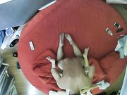 酒店偷拍白嫩大奶美女被小伙毫不留情的爆干美女受不了求饶