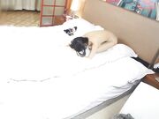 色魔摄影师套路身材非常棒的兼职野模 摆出各种淫荡姿势