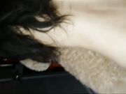 新婚小夫妻出租屋里各种花样啪啪啪 换上情趣丝袜玩69 完美露脸