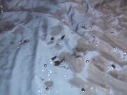 她看似温柔的气质下 却摆出了许多大胆的姿势1