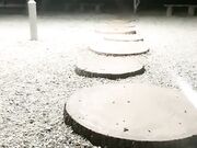 深夜 帝都玉渊潭公园 也不怕蚊子多 淫荡小情侣挑战户外 无毛嫩穴无内射干爽