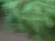 深夜 帝都玉渊潭公园 也不怕蚊子多 淫荡小情侣挑战户外 无毛嫩穴无内射干爽