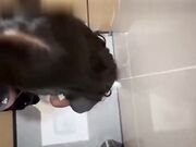 哥哥贪妹妹骚穴好舒服 人家还想 反差母狗太骚了