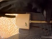 最新流出云上会所高清系列牛仔服眼镜妹样子挺招人喜欢