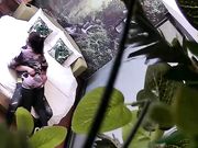 大奶美眉开房约炮有点矜持