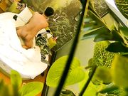 大奶美眉开房约炮有点矜持