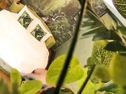 大奶美眉开房约炮有点矜持