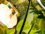 大奶美眉开房约炮有点矜持