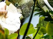 饥渴马尾小少妇与四眼男偷情