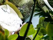 饥渴马尾小少妇与四眼男偷情