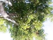 大白天公园勾搭路人路边站立啪啪