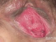 マンコドキュメ図鑑 愛加あみ