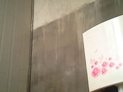 厕所偷拍这个姐姐胖的像个坦克