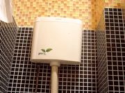 酒吧正面拍摄系列6 各路高颜值美女