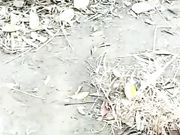 露脸骚货俏秘书跟小哥哥玩刺激的野战