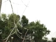 身材丰满的女主播户外脱裤子漏奶漏逼尿尿