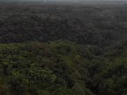 精品大作三个极品身材的美女嫩模在玻璃房内全裸精油按摩