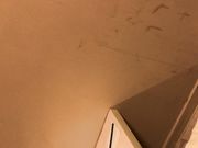 清纯女友即将成为我的妻 你知我长短 我知你深浅 无套后入内射