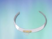 被疯狂性虐还做人体实验