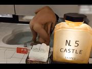 镶珠猛男温泉酒店各种姿势爆草高跟学生制服白虎兼职小姐