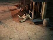 清纯可爱的妹子援交口爆