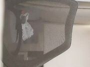 小哥寻花皮裤短发长相甜美妹子酒店啪啪