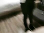 身材超赞的大奶美女少妇骗老公出来跳广场舞,实则酒店约啪