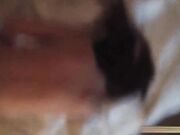 带你重温辉煌时的东莞大富豪KTV 场面壮观