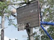 青春偶像剧改编 一起再看流星雨纯真小爽初遇霸道学长大瀚 赵雅琳